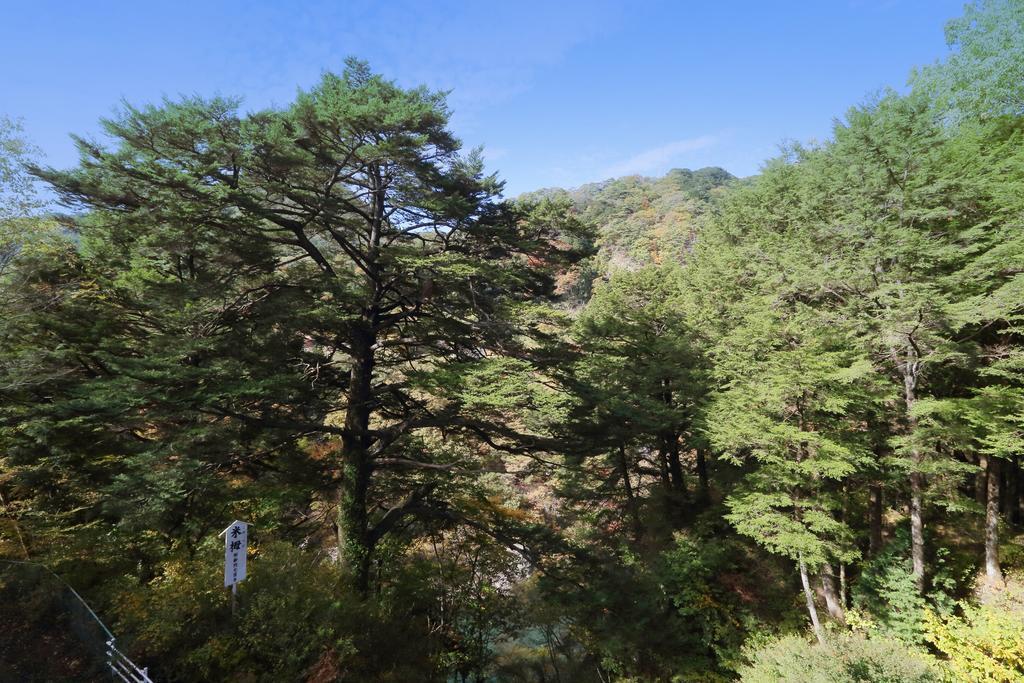 Tsuganoki Hotel Nikko Bagian luar foto