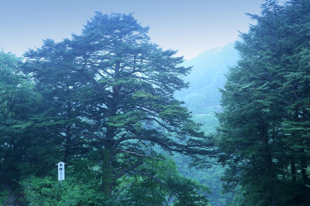 Tsuganoki Hotel Nikko Bagian luar foto